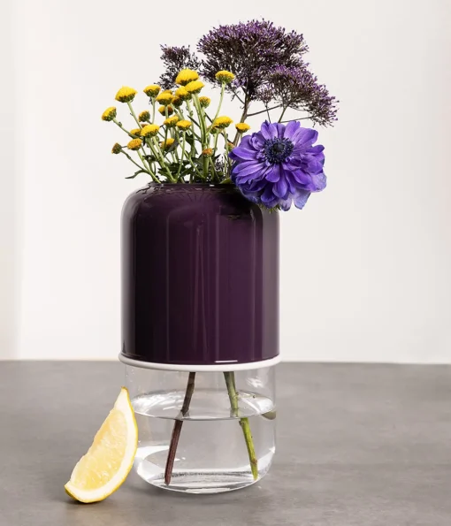 Kapseli maljakko purppura/kirkas