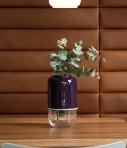 Kapseli maljakko purppura/kirkas